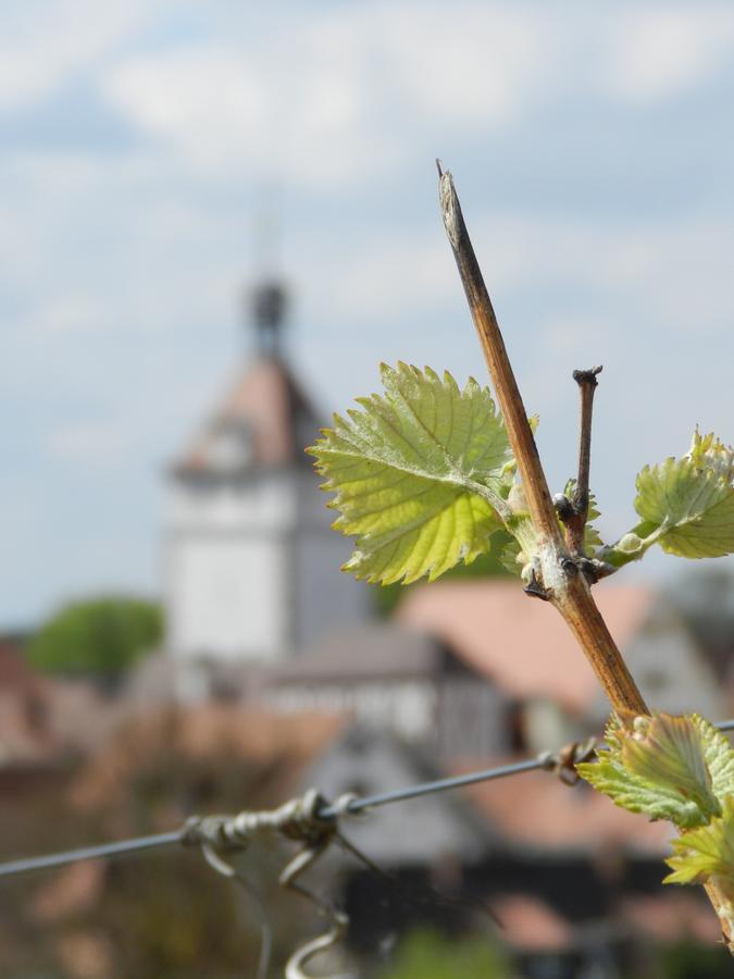 Gaestehaus Am Westtor Prichsenstadt Exteriör bild